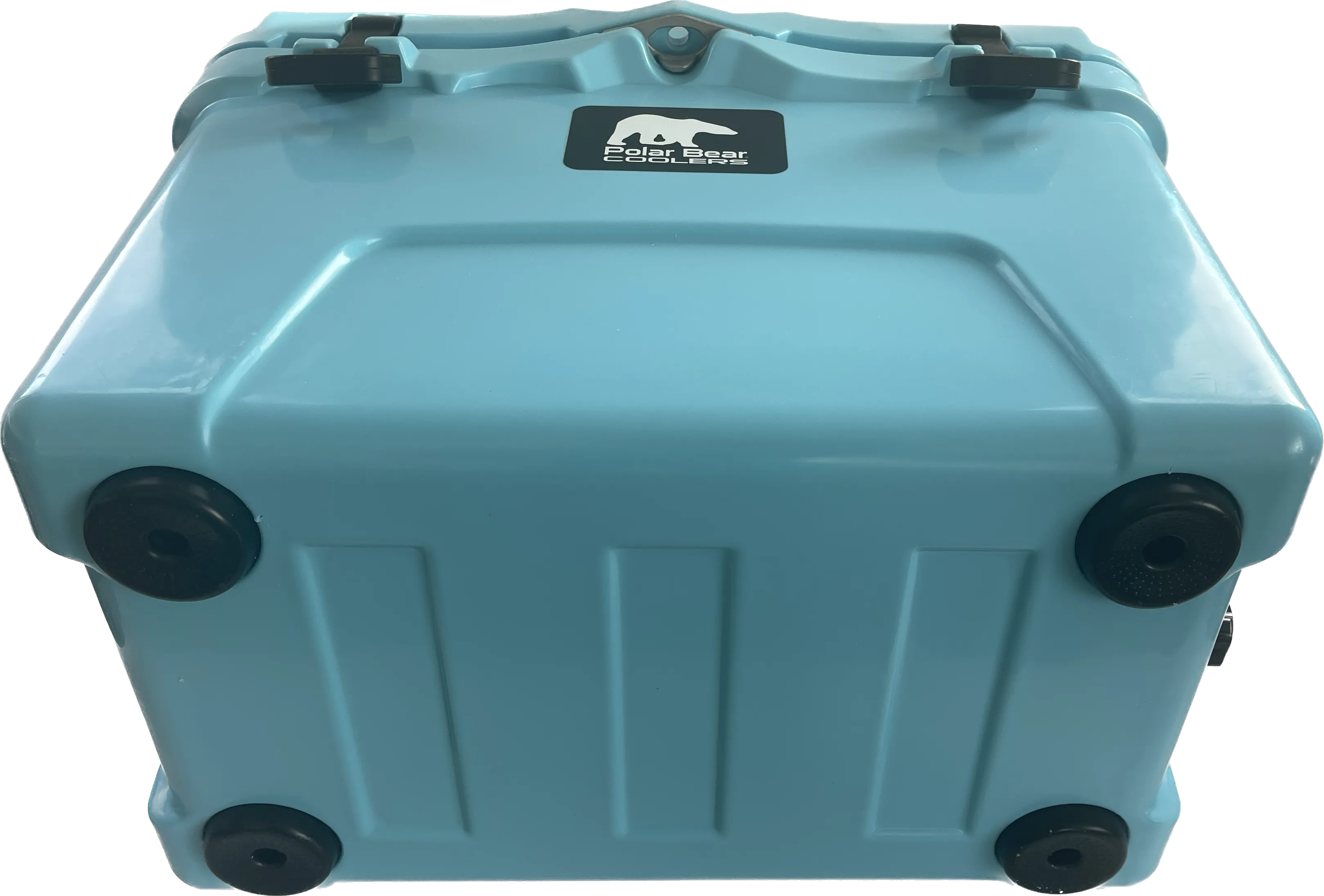 Polar Bear 20 Hard Cooler